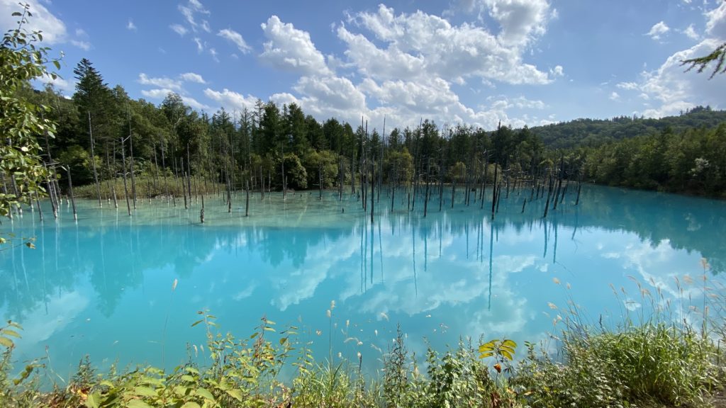 美瑛白金・青い池はMacの壁紙にも採用された絶景スポット