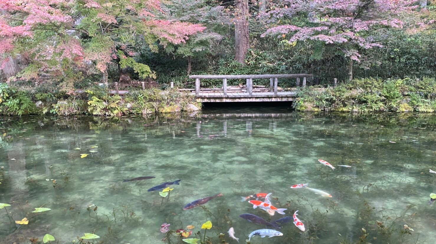 モネの池