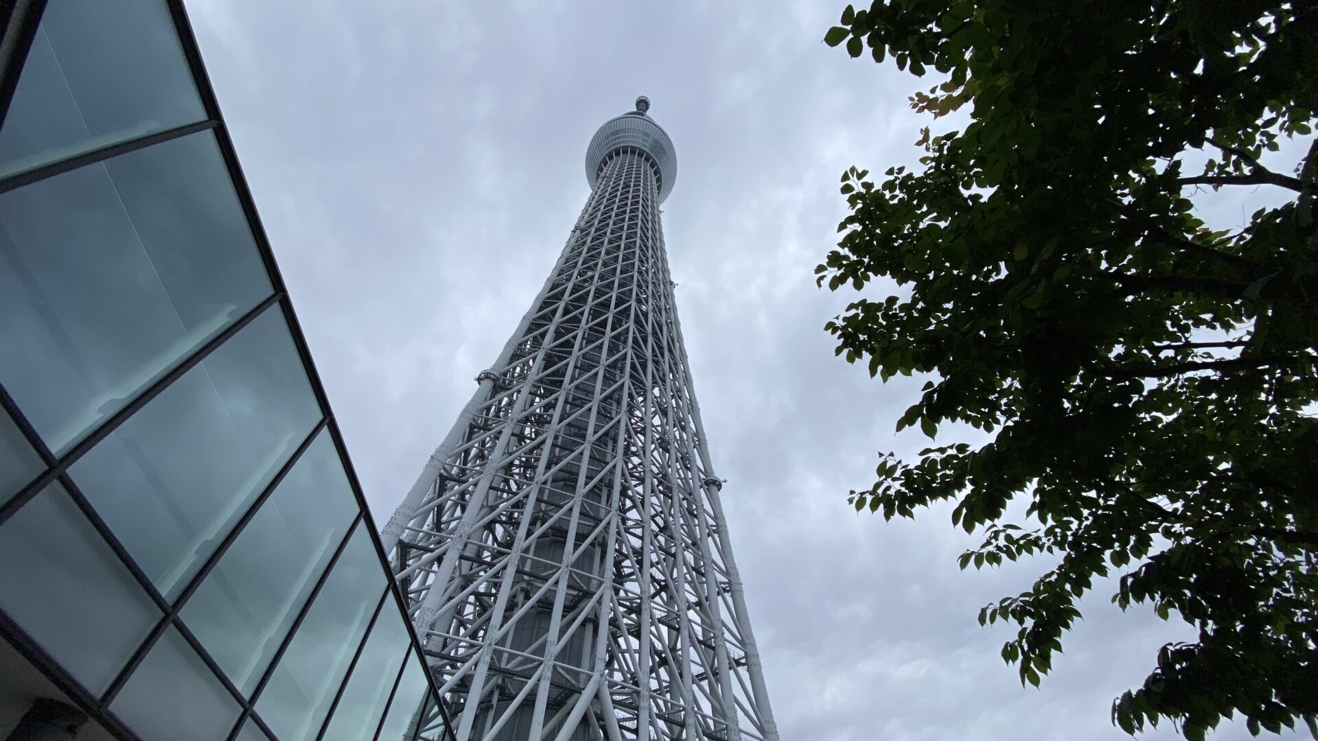 東京・首都圏から日帰りひとり旅 新幹線や飛行機で遠くへも