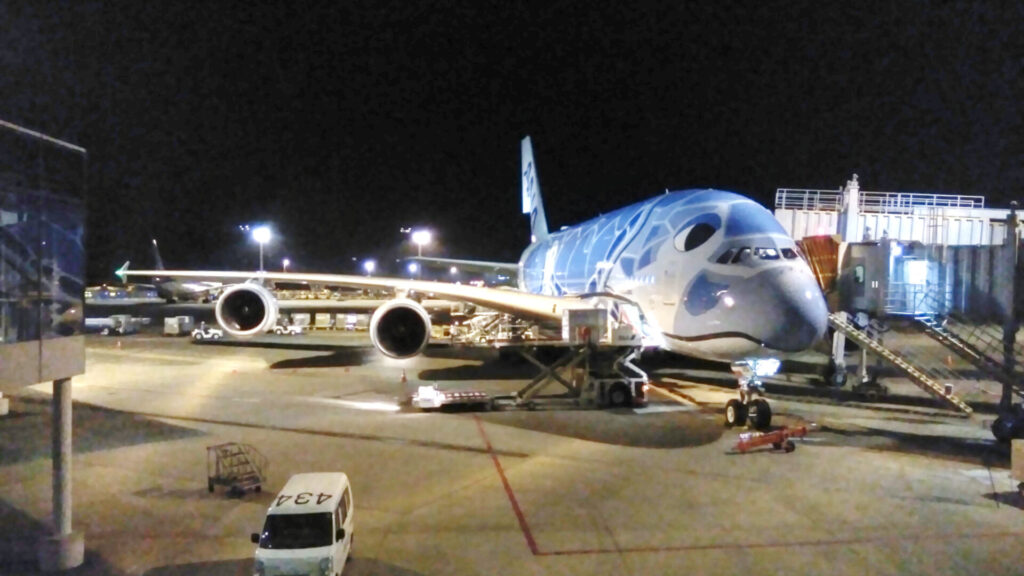 ANA A380「フライング・ホヌ」エコノミークラス　成田→ホノルル線 搭乗記