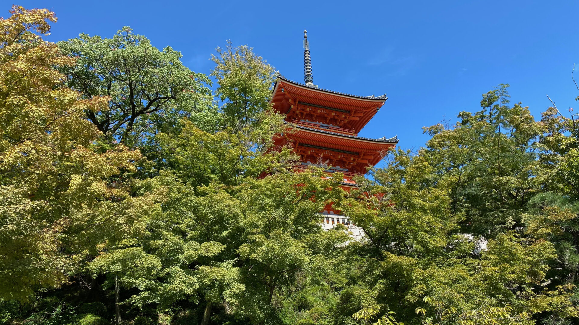 2日目は特急「あをによし」で京都へ 丸っと1日、飽きない京都を観光する1日