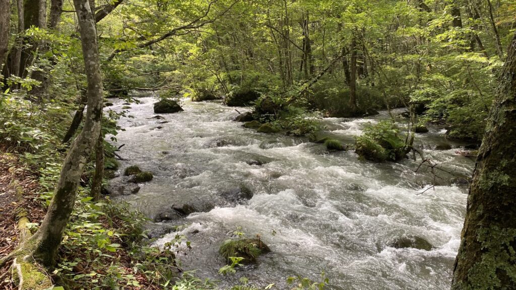 奥入瀬渓流で自然の流れを体感しよう