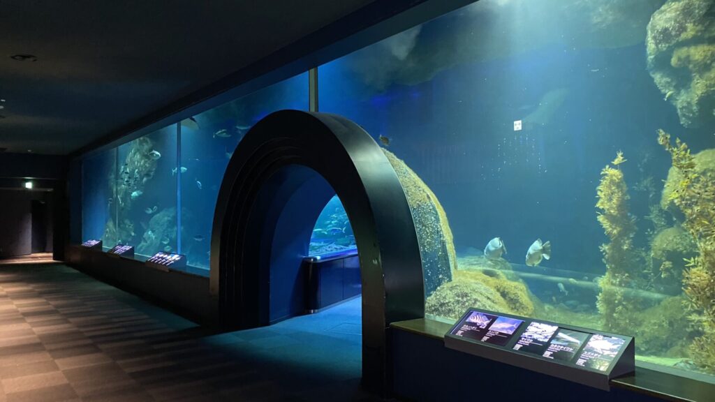 新潟市水族館 マリンピア日本海は日本海・信濃川の生態系を知ることができる水族館