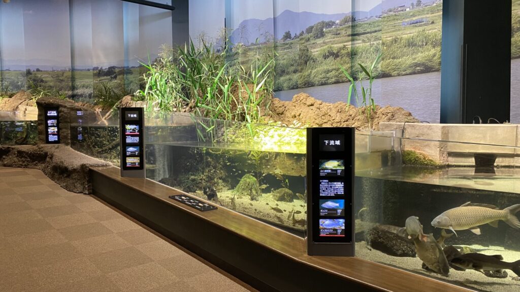 新潟市水族館 マリンピア日本海は日本海・信濃川の生態系を知ることができる水族館