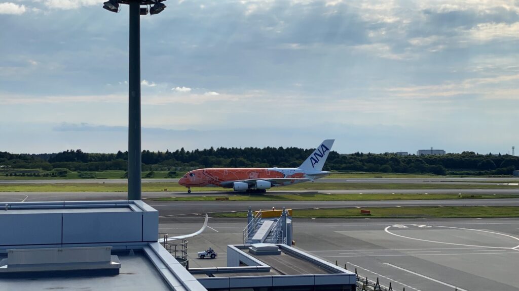 ANAはA380"Flying Honu"（フライング・ホヌ）を1日2往復運航